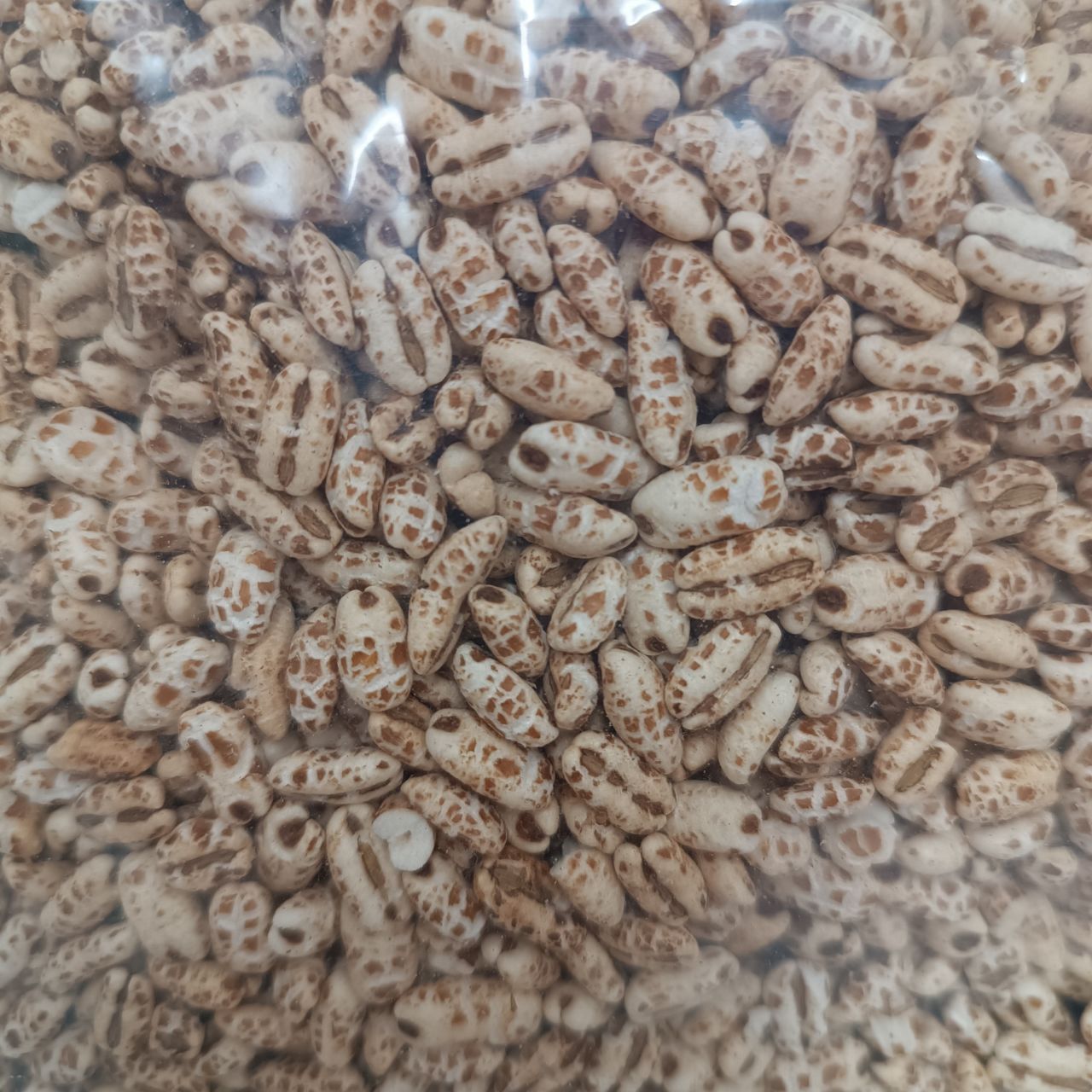Повітряний ячмінь здутий висаджений Puffed barley, 100 г
